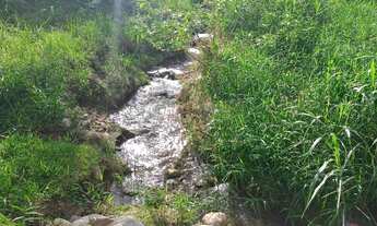 Imagem 4: Terreno para sítio em Timbó