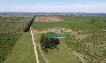 Imagem 5: Fazenda a venda - área rural