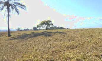 Imagem 4: Fazendinha município Aratuípe -Bahia