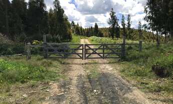 Imagem 5: VENDO ÁREA DE TERRA COM 41,5 HECTARES EM JAQUIRANA