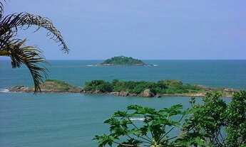 Imagem 3: Terreno São Jose - Peruibe - SP