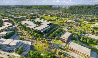 Imagem 5: Lote Plateau Dor