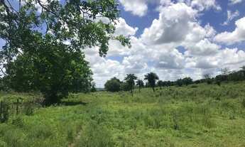 Imagem 14: Vendo fazenda Fazenda / sítio com venda por R$3.200.000