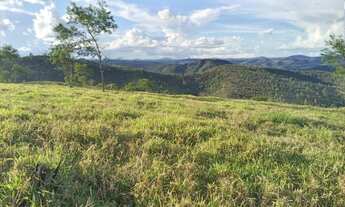 Imagem 7: Linda fazenda com 43 alqueires e meio. Linda, toda formada