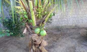 Imagem 6: SANTA CRUZ CABRÁLIA - Casa Padrão - Coroa Vermelha