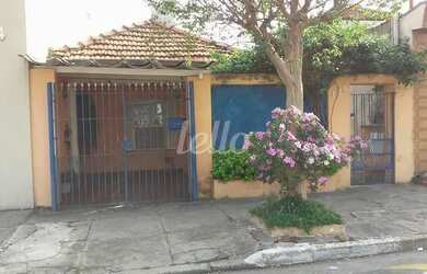 Imagem 14: São Paulo - Casa Padrão - Mooca