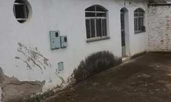 Imagem 5: Casa grande e Barata