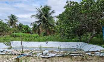 Imagem 5: Sítio com casa em Macaiba-RN