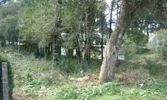 Imagem: Terreno no bairro São Rafael em Canela!