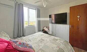 Imagem 5: Apartamento para Aluguel - Campo Novo, 2 Quartos, 39 m2