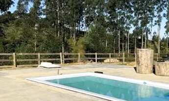 Imagem 3: Sítio em Cocal do Sul