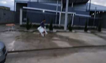 Imagem 5: Galpão 600m2 Galpão / depósito com 5 vagas na garagem