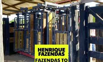 Imagem 6: Fazenda excelente para criação e engorda 80 alqueires com 75 alqueires