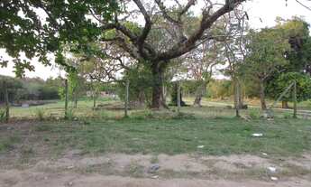 Imagem 2: Terrenos financiados araruama 14.999 (a vista) e nada mais