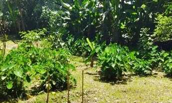 Imagem 2: Excelente terreno em Paraty próximo praias e cachoeiras