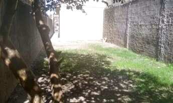 Imagem 2: Sobrado, Parque Primavera - Guarulhos