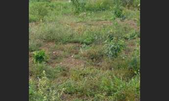 Imagem 6: Vendo fazenda no Vale do Araguaia TO