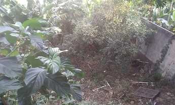 Imagem 5: Casa em Marcílio de Noronha