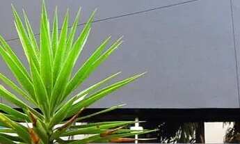 Imagem 2: Casa para venda possui 220 metros quadrados com 3 quartos em Vila Nova Conceição - São Pau