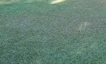 Imagem 4: Sítio Recanto das Bougainvilles