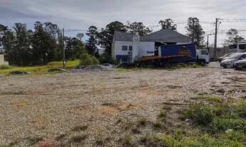 Imagem 4: Macuco à venda em Valinhos