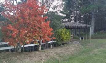 Imagem 7: Casa para aluguel com 3400 metros quadrados com 1 quarto em Centro - Campo Alegre - SC