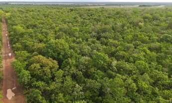 Imagem 3: Vendo fazenda em Cristalândia TO
