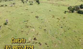 Imagem 6: EXCELENTE PROPRIEDADE