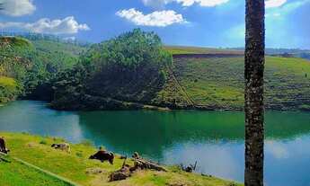 Imagem: Lote/Terreno para venda tem 1000 metros