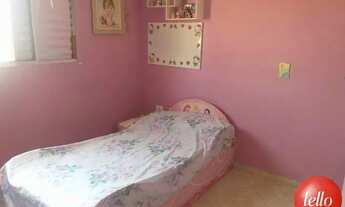 Imagem 4: São Paulo - Casa Padrão - Penha