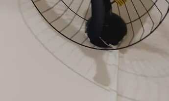 Imagem 2: Fds 160.00 dia de semana 100.00 Ano novo 2.500 Ocian