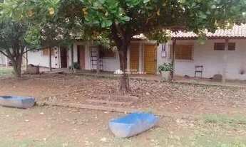 Imagem 4: AV.POTY VELHO - BAIRRO: SANTA MARIA DA CODIPI