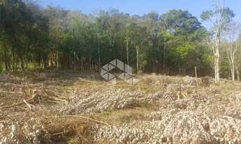 Imagem: Terrenos 705 m² Loteamento no Bairro Piá