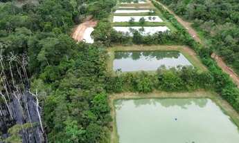 Imagem 4: FAZENDA ARAPAIMA RAMAL 5.5