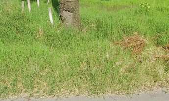 Imagem: Terreno de esquina 12x34 no Guarituba/Piraquara