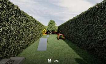 Imagem 7: Apartamento 3 dormitórios à venda Nossa Senhora das Dores Santa Maria/RS