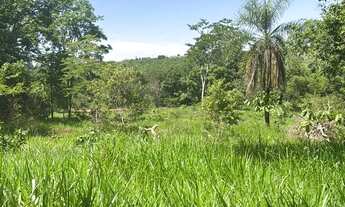 Imagem 2: Sítio - oportunidade- Área para plantio horta ou pasto