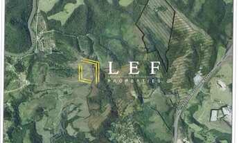 Imagem 2: Rodvia Castelo Branco - Araçariguama