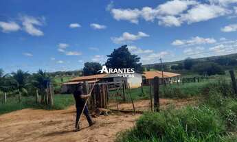 Imagem 4: Fazenda com 532,0463 ha à venda em Varzelândia