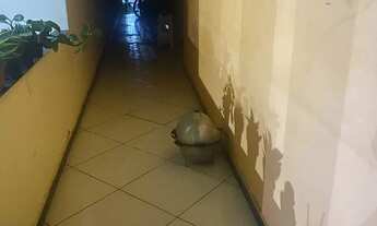 Imagem 3: Casa vender c escritura da praça Santa Luzia