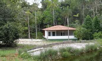 Imagem 3: FAZENDA ARAPAIMA RAMAL 5.5