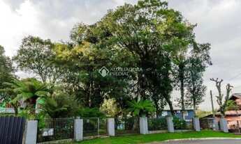 Imagem 7: Terreno de Esquina no Bairro Carniel - Excelente Oportunidade!