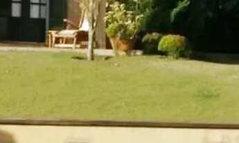 Imagem 2: Seu Refúgio Natural Está Aqui Bosque da Serra