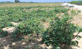 Imagem 4: Venda-se este terreno escriturado de 24.200 mil M2 no Município de Marataízes/ES