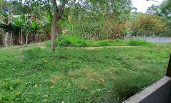 Imagem 2: 230 mil reais chacara urbana pomar produzindo