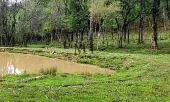 Imagem 7: Área de terra bairro Linha Imperial, Nova Petrópolis.RS Ref.:131