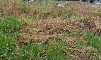 Imagem 2: Condomínio Bhotanica Jarinú