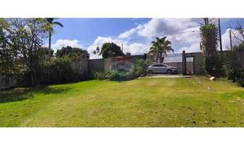 Imagem 4: LINDA CHÁCARA COM PISCINA