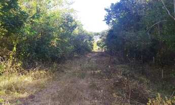 Imagem 3: Área com 13 hectares para sítios ou loteamentos, a 23 km de Teresina após o Rodoanel