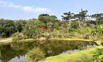 Imagem 3: Lote em Avenida Chimangos - Colinas - São Francisco de Paula/RS